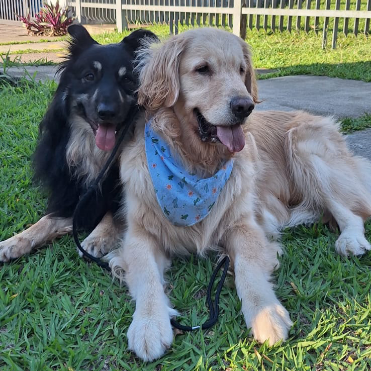Boris e Vlad